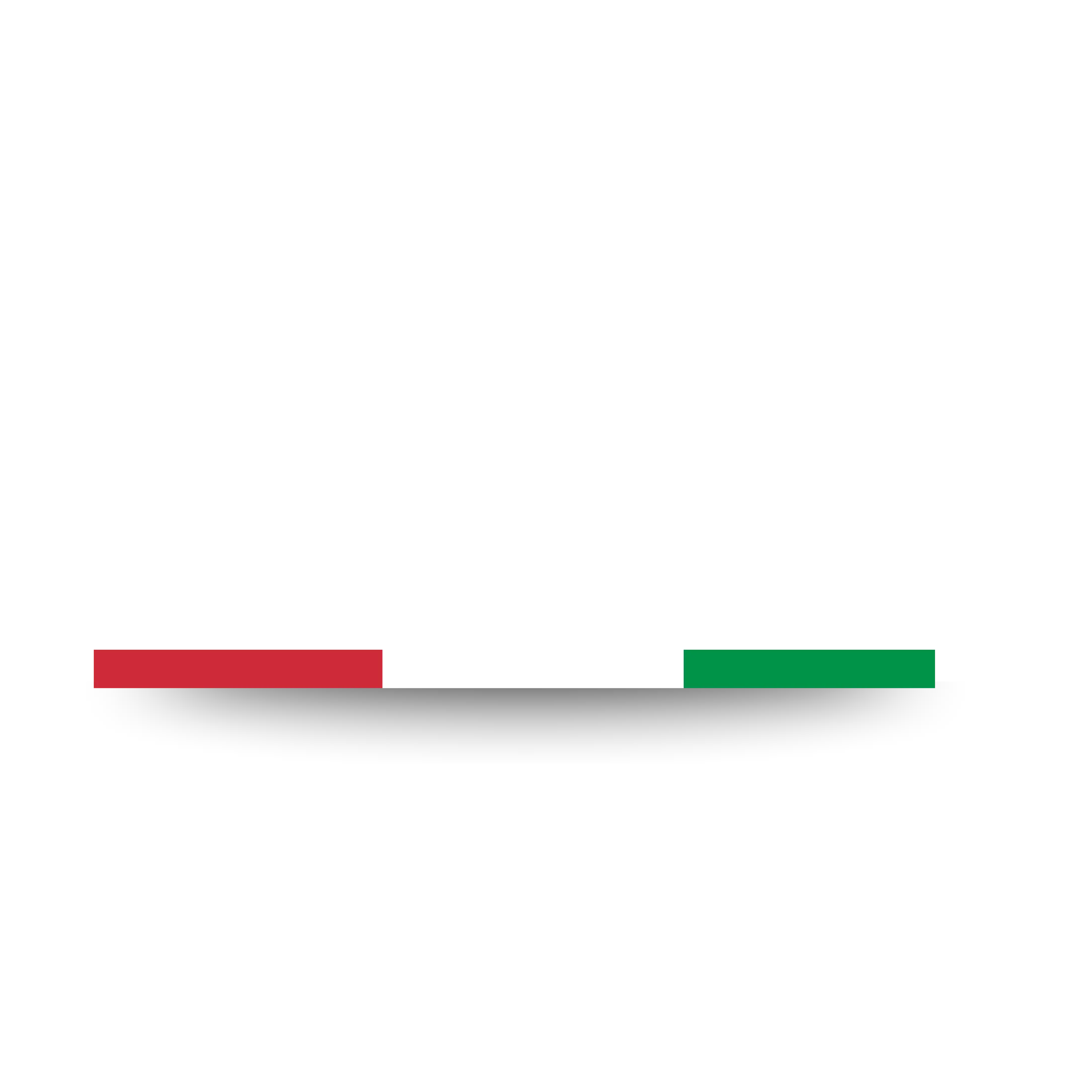 OGGI Naraswara Media